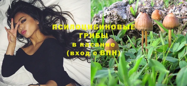 гидропоника Ладушкин