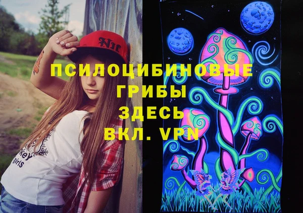 гидропоника Ладушкин